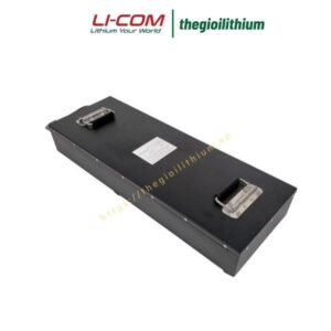 Pin lithium xe golf 60V 42Ah CTS-6042