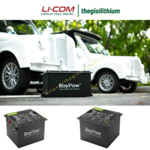 Pin Lithium cho xe golf, xe điện du lịch 36V 150Ah S3815 của RoyPow