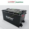 pin lithium xe golf roypow s51105p 1