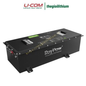 Pin Lithium cho xe golf 48V 160Ah S51160P của hãng RoyPow