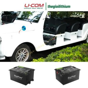 Pin Lithium cho xe golf, xe điện du lịch 48V 56Ah S5156 hãng RoyPow